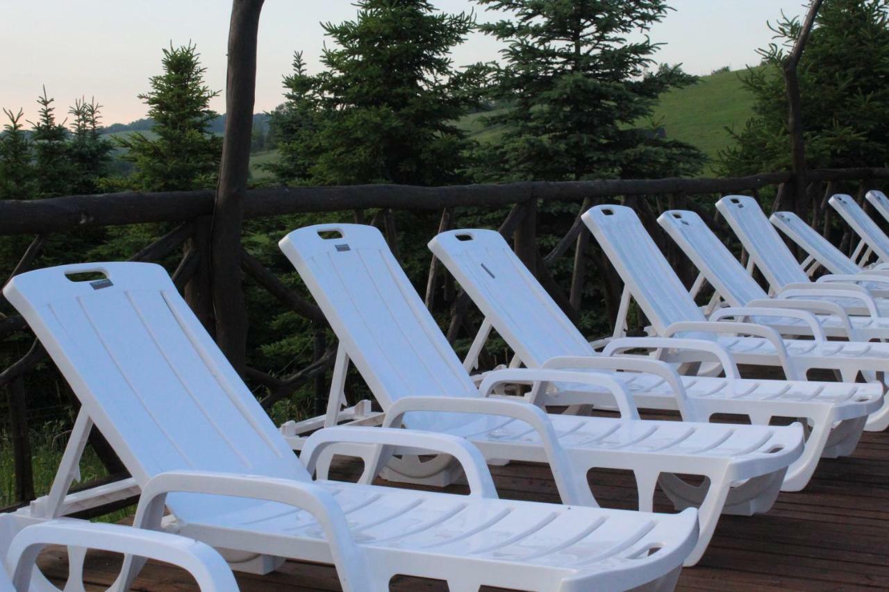 Bieszczadzkie Wrota Lasu Hotel Steznica  Buitenkant foto